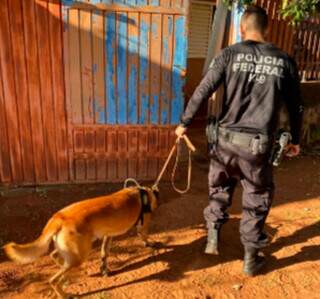 Homem compra sapatos com notas falsas e vira alvo da Pol&iacute;cia Federal