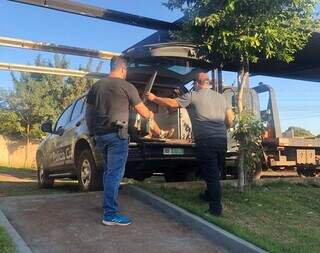 Suspeito sendo retirado de viatura na frente da DAM, em Dourados. (Foto: Divulgação | PCMS)