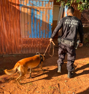 Homem compra sapatos com notas falsas e vira alvo da Pol&iacute;cia Federal