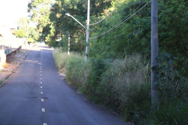 Sem limpeza, &aacute;rea de preserva&ccedil;&atilde;o &eacute; combust&iacute;vel em &eacute;poca de queimadas