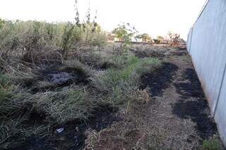 Próximo dali, outro terreno tomado de mato foi incendiado, no dia 26. (Foto: Alex Machado)