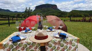 Vinícola possui opções de picnic para aproveitar próximo ao Morro do Chapéu. (Foto: Divulgação)