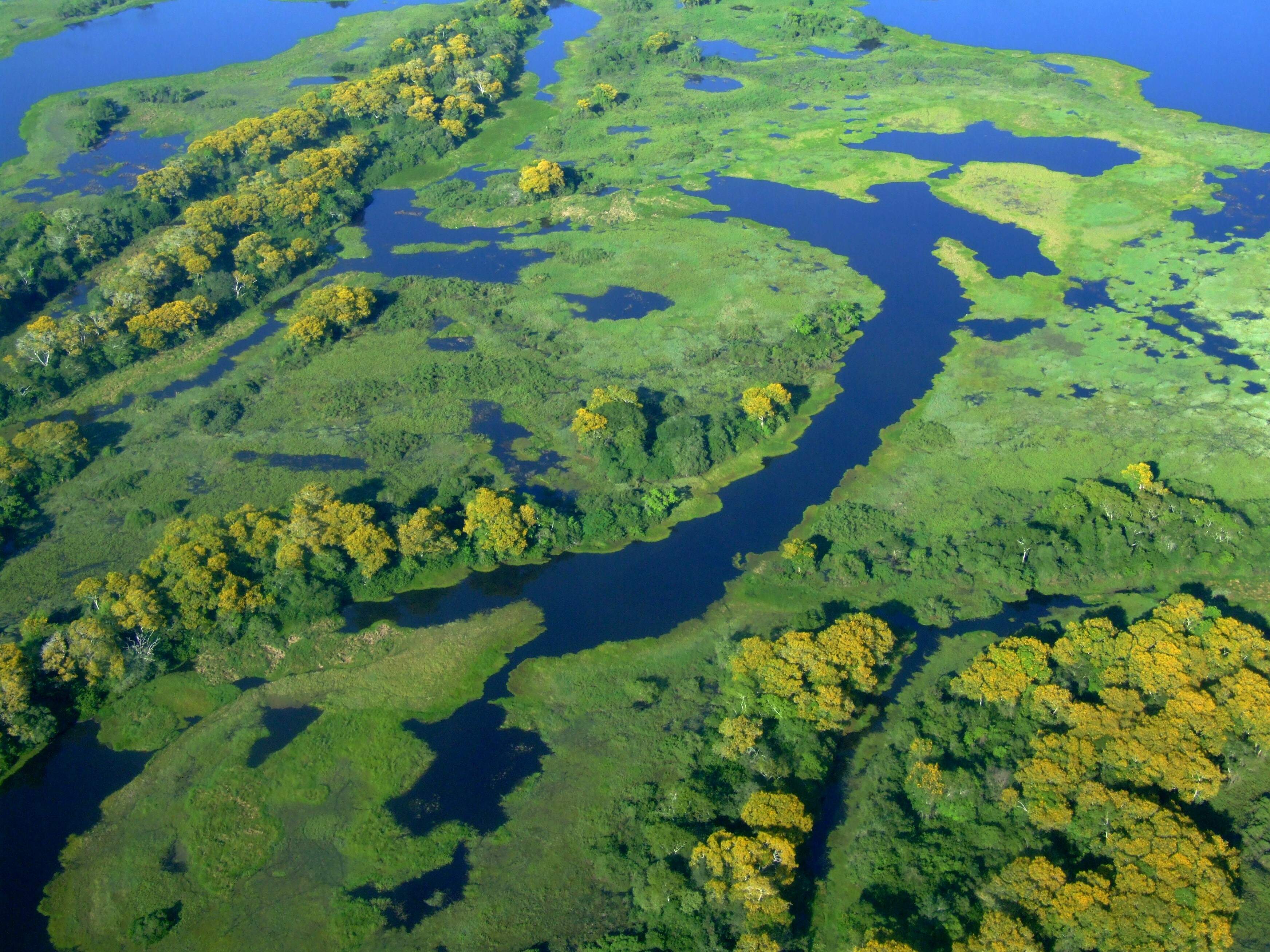 Pantanal terá US$ 400 milhões do BID para garantir produção sustentável