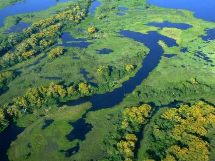 Pantanal terá US$ 400 milhões do BID para garantir produção sustentável