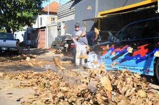 Funcionário tenta tirar folhas da frente de mecânica, na Rua General Camilo, bairro Taveirópolis (Foto: Alex Machado)