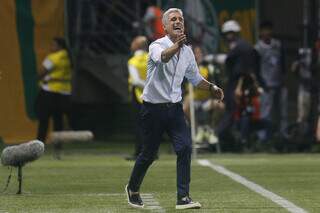 Técnico Luís Castro comandando o Botafogo contra o Palmeiras (Foto: Divulgação/Botafogo)