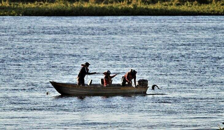 Projeto que proíbe pesca profissional é defendido também para