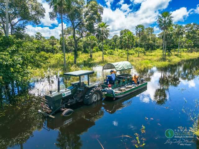 Passeio fluvial incr&iacute;vel por &aacute;guas transparentes, verdadeira imers&atilde;o no Pantanal