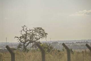 Vegetação e ar secos nesta tarde em Campo Grande (Foto: Henrique Kawaminami)