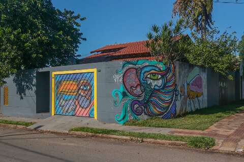 Com arte do portão à laje, casa de grafiteira guarda 5 mil telas