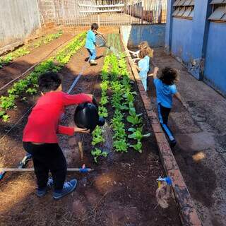 Crianças regam alfaces plantadas na horta da Escola Municipal Padre Heitor Castoldi (Foto: Divulgação)