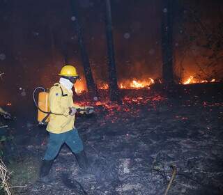 Brigadista combatendo incêndio em área de mata em 2019. (Foto: Arquivo/Paulo Francis)