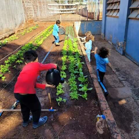 Alunos de escolas municipais colocam &quot;m&atilde;o na massa&quot; e aprendem com hortas