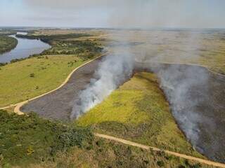 No Parque Estadual das Várzeas do Rio Ivinhema, queima foi feita em pontos isolados. (Foto: Divulgação/Imasul)