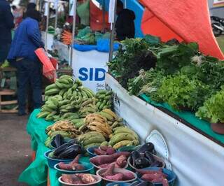 Frutas e hortaliças em um das barracas da feira de orgânicos (Foto: Divulgação)