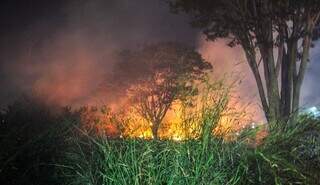 Foco de incêndio em terreno baldio no Bairro Morada Verde. (Foto: Juliano Almeida)