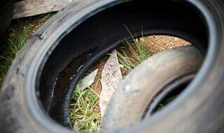 Água parada em pneu abandonado em terreno baldio. (Foto: Arquivo)