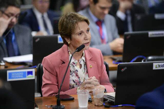 Tereza Cristina tem pondera&ccedil;&otilde;es ouvidas para votar o Marco Legal das Garantias