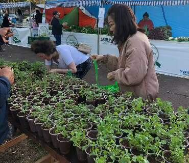 Direto da horta: feira distribui ervas arom&aacute;ticas e vende produtos org&acirc;nicos