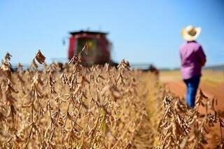 Agricultor observa colheitadeira sobre campos de soja em propriedade rural de MS. (Foto: Arquivo/Sistema Famasul)