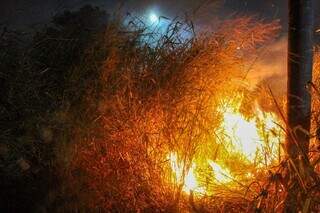 Incêndio registrado em terreno baldio no bairro Morada Verde, em Campo Grande (Foto: Juliano Almeida)