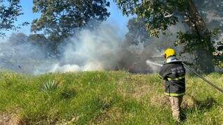 Bombeiro controlando incêndio em frente ao Hospital Proncor (Foto: Antonio Bispo)