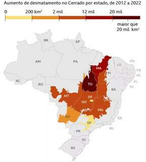 Mapa mostra devastação no bioma no País, segundo dados do Inpe (Arte: Rede Cerrado)