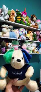 M&aacute;quina de urso &eacute; a terapia de Priscila, que nem espa&ccedil;o na estante tem