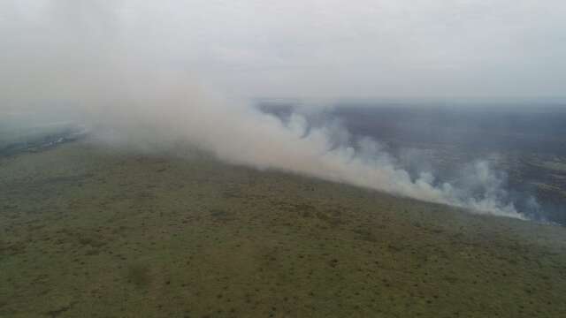 Combate a inc&ecirc;ndio no Pantanal ganha refor&ccedil;o do ex&eacute;rcito