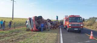 Carreta com carga de detergente fica destru&iacute;da ap&oacute;s tombar em rodovia