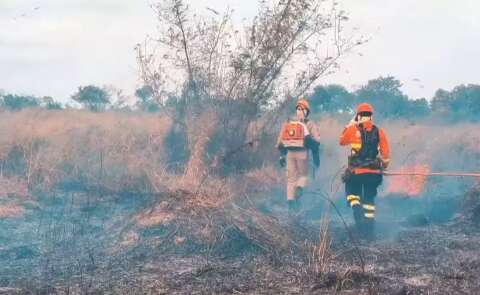 Incêndio no Pantanal é controlado e bombeiros continuam monitorando focos 