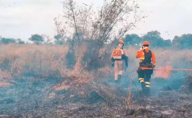 Inc&ecirc;ndio no Pantanal &eacute; controlado e bombeiros continuam monitorando focos 