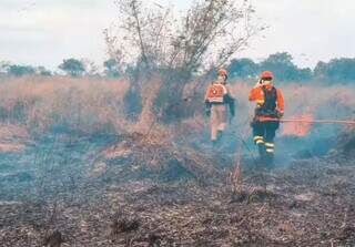 Militares do Corpo de Bombeiros atuando no incêndio em Corumbá (Foto: Reprodução/Redes Sociais)