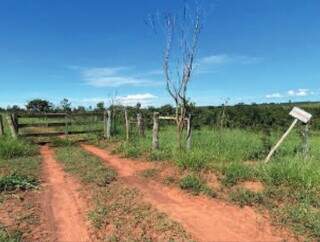 Entrada da Fazenda Formosa, em Camapuã. (Foto: Reprodução)