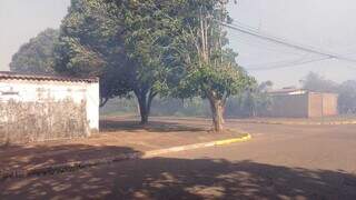 Fuma&ccedil;a de queimada pr&oacute;xima &agrave; fazenda da Embrapa atormenta moradores