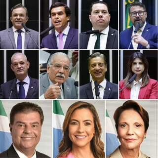 De cima para baixo, da esquerda para a direita: deputados Vander Loubet (PT), Beto Pereira (PSDB), Rodolfo Nogueira (PL), Marcos Pollon (PL), Geraldo Resende (PSDB), Dr. Luiz Ovando (PP), Dagoberto Nogueira (PSDB) e Camila Jara (PT); além dos senadores Nelsinho Trad (PSD), Soraya Thronicke (Podemos) e Tereza Cristina (PP). (Foto: Reprodução)