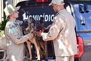 Dois cães farejadores do Corpo de Bombeiros irão colaborar em busca de adolescente desaparecida em Taquarussu (Foto: Reprodução/3º SGBM)