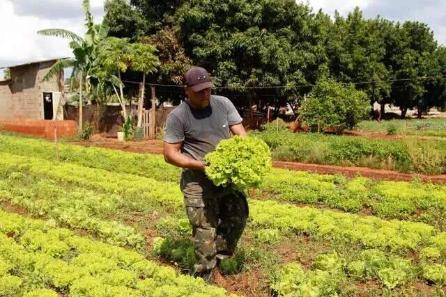 Governo estuda proposta de gera&ccedil;&atilde;o e venda de carbono em agricultura familiar