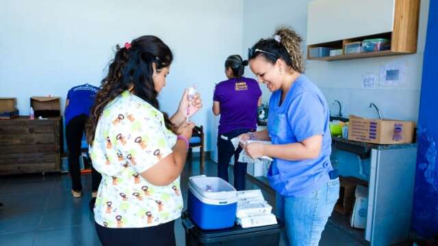 Atendimento veterin&aacute;rio ser&aacute; di&aacute;rio a ONGs e protetores independentes