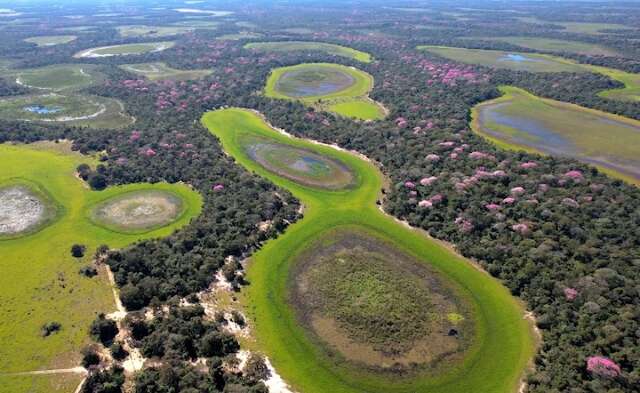 Fot&oacute;grafo mostra que Pantanal n&atilde;o sabe brincar quando o assunto &eacute; ip&ecirc;