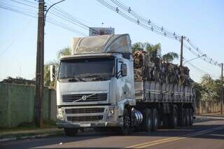 Caminhão com recicláveis nas proximidades de uma das fábricas ainda ativas. (Foto: Alex Machado)