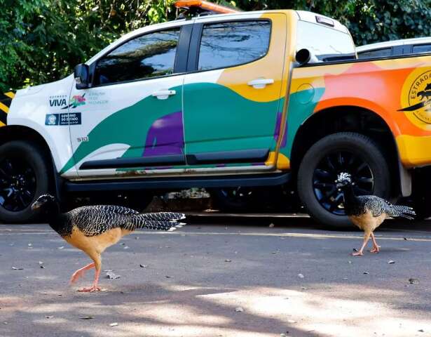 H&aacute; um m&ecirc;s no cargo, diretor de Meio Ambiente fala em reformular o Estrada Viva