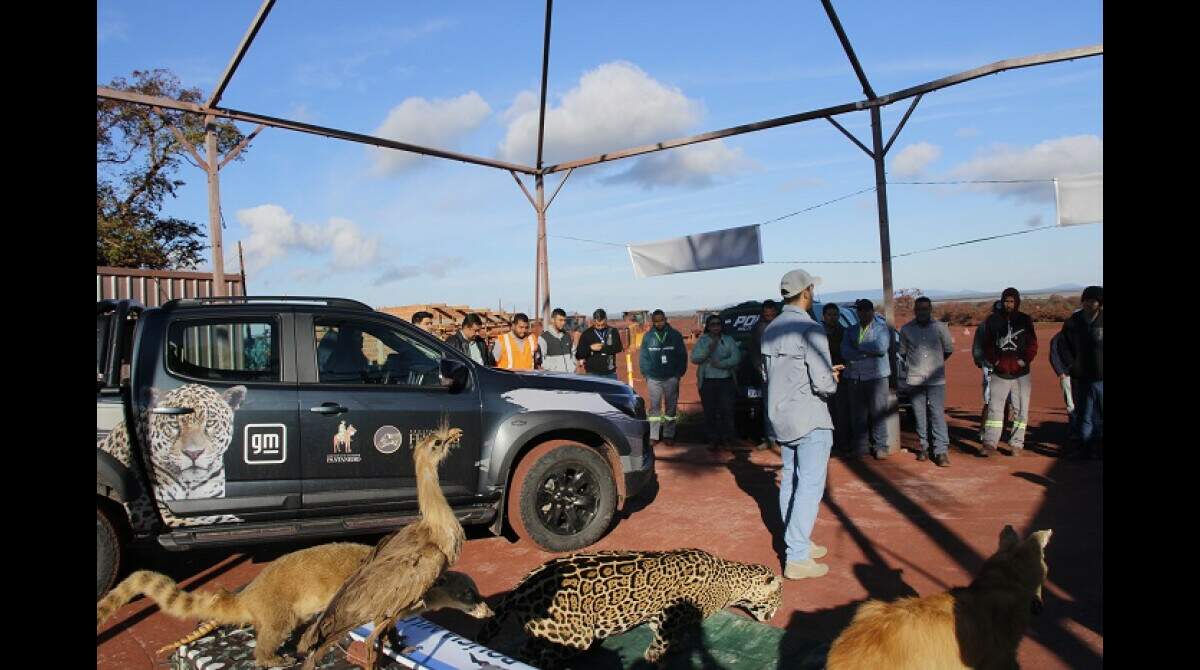 Projeto que proíbe pesca profissional é defendido também para