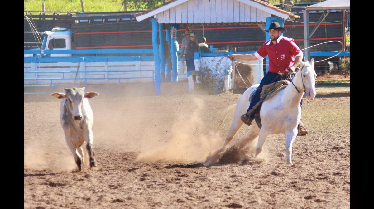 Parque do Peão terá competição feminina de laço neste feriado - Esportes -  Campo Grande News