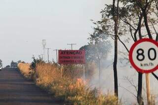 Fumaça invade rodovia e prejudica visão de motoristas (Foto: Henrique Kawaminami)