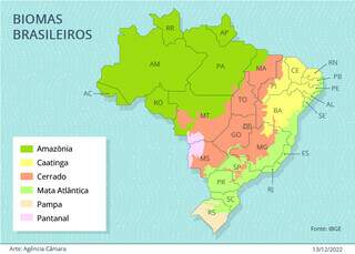 Divisão de biomas no território brasileiro. (Foto: Agência Câmara)
