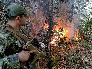 Pol&iacute;cia paraguaia desfaz acampamento com duas toneladas de maconha