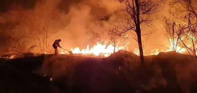 Publica&ccedil;&atilde;o de estado de emerg&ecirc;ncia ambiental permite dispensa de licita&ccedil;&atilde;o