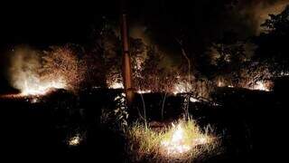 Focos de incêndio foram controlados em mata de Três Lagoas. (Foto: Reprodução)