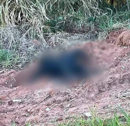 Mulher &eacute; encontrada carbonizada em matagal